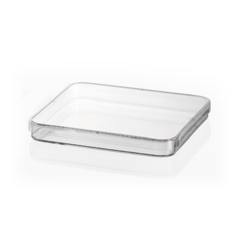 Square Petri Dish Size 100mm 130mm for Laboratory Use from China